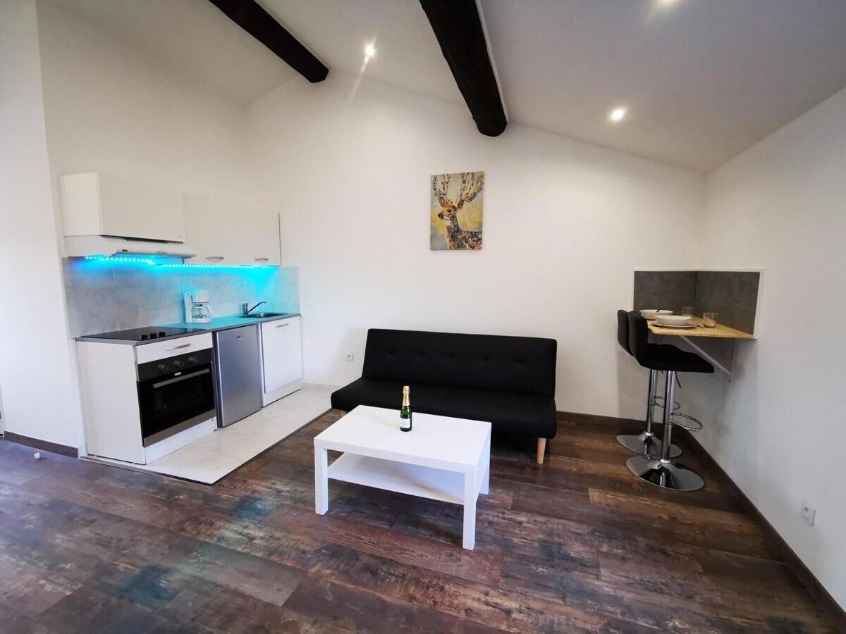 Ô bon temps - Suite Détente Chasse-sur-Rhône Exterior foto